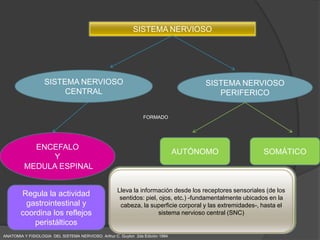 SISTEMA NERVIOSO




                   SISTEMA NERVIOSO                                                     SISTEMA NERVIOSO
                        CENTRAL                                                            PERIFERICO

                                                                 FORMADO




           ENCEFALO
                                                                                AUTÓNOMO                 SOMÁTICO
               Y
         MEDULA ESPINAL
                                                        Es involuntario activándose principalmente por centros
                                                        nerviosos situados en la médula espinal, tallo cerebral e
                                                     Lleva la información desde los receptores sensoriales (de los
       Regula la actividad
         Actividades que                              SIMPATICO
                                                                                  hipotálamo     ENTERICO
                                                      sentidos: piel, ojos, etc.) -fundamentalmente ubicados en la
     Almacena y conserva la
       requieren gasto y
        gastrointestinal de
                                                     Transmite superficie desde el y las extremidades-, hasta el
                                                      cabeza, la impulsos corporal sistema nervioso central hasta
             energía
      coordina los reflejos                                           sistema nervioso central (SNC)
                                                        la periferia estimulando los aparatos y sistemas órganos
             energía                                                      PARASIMPATICO
          peristálticos                                                           periféricos

ANATOMIA Y FISIOLOGIA DEL SISTEMA NERVIOSO. Arthur C. Guyton 2da Edición 1994
 