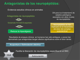 Evidencia estudios clínicos en animales
                                                        Útil para la el tratamiento de
                                                             estados patológicos
Antagonistas de neuropeptidos                           asociados con altos niveles
                                                              de neuropéptidos

 Glutamato N-metil-D-aspartato
                                                         Neuropéptidos se han
                                                       implicado en el mecanismo
                                                         del dolor del complejo
    Reduce la hiperalgesia                                    pulpodentinal


  Resultados de ensayos clínicos en humanos han sido ambiguos, y pocos han
 demostrado que antagonistas tengan efectos significativos sobre el dolor dental.


   Acupuntura o Estimulación eléctrica


          Facilita la liberación de neuropéptidos específica en el SNC
Ideal
                                 Autocuración
 