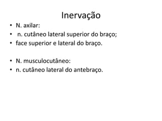 Inervação
• N. axilar:
• n. cutâneo lateral superior do braço;
• face superior e lateral do braço.
• N. musculocutâneo:
• n. cutâneo lateral do antebraço.
 