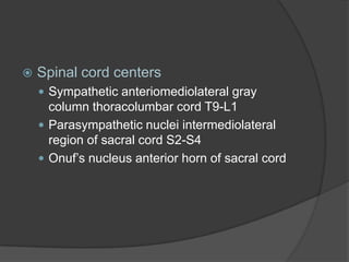    Spinal cord centers
     Sympathetic anteriomediolateral gray
      column thoracolumbar cord T9-L1
     Parasympathetic nuclei intermediolateral
      region of sacral cord S2-S4
     Onuf’s nucleus anterior horn of sacral cord
 