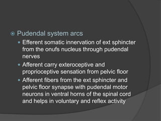    Pudendal system arcs
     Efferent somatic innervation of ext sphincter
      from the onufs nucleus through pudendal
      nerves
     Afferent carry exteroceptive and
      proprioceptive sensation from pelvic floor
     Afferent fibers from the ext sphincter and
      pelvic floor synapse with pudendal motor
      neurons in ventral horns of the spinal cord
      and helps in voluntary and reflex activity
 