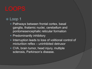 LOOPS
   Loop 1
     Pathways between frontal cortex, basal
      ganglia, thalamic nuclei, cerebellum and
      pontomesencephalic reticular formation
     Predominantly inhibitory
     Interruption leads to loss of volitional control of
      micturition reflex – uninhibited detrusor
     CVA, brain tumor, head injury, multiple
      sclerosis, Parkinson’s disease.
 