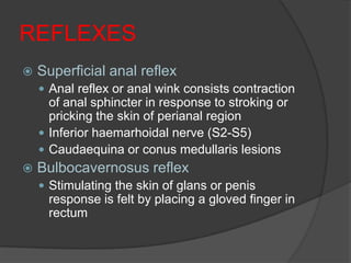 REFLEXES
   Superficial anal reflex
     Anal reflex or anal wink consists contraction
      of anal sphincter in response to stroking or
      pricking the skin of perianal region
     Inferior haemarhoidal nerve (S2-S5)
     Caudaequina or conus medullaris lesions
   Bulbocavernosus reflex
     Stimulating the skin of glans or penis
     response is felt by placing a gloved finger in
     rectum
 