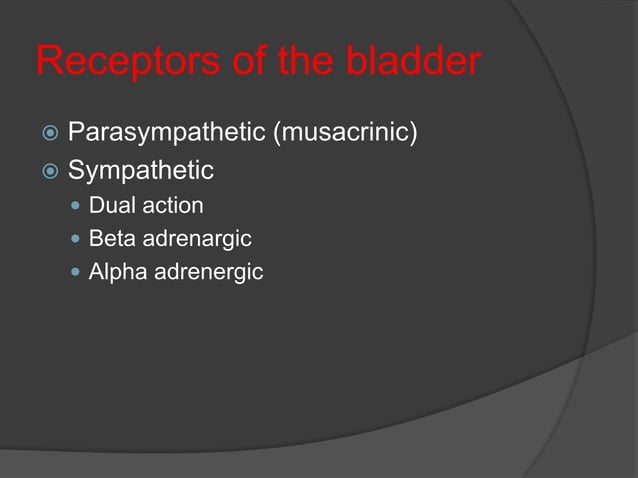 bladder and its dysfunction | PPTX