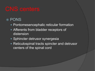 CNS centers
   PONS
     Pontomesencephalic reticular formation
     Afferents from bladder receptors of
      distension
     Sphincter detrusor synergesia
     Reticulospinal tracts spincter and detrusor
      centers of the spinal cord
 