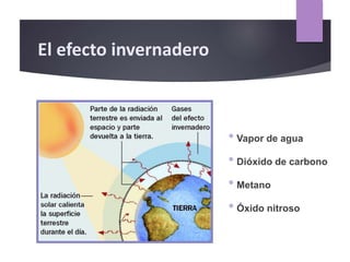 El efecto invernadero
• Vapor de agua
• Dióxido de carbono
• Metano
• Óxido nitroso
 