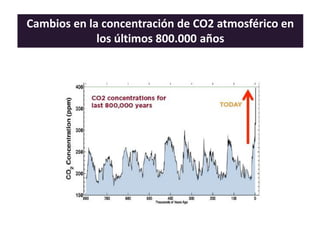 Cambios en la concentración de CO2 atmosférico en
los últimos 800.000 años
 