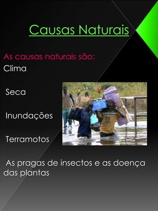  Causas humanas:Causas NaturaisAs causas naturais são: Clima Seca Inundações Terramotos As pragas de insectos e as doença das plantas