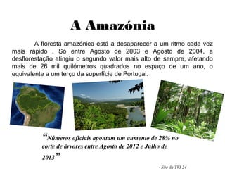 A Amazónia
A floresta amazónica está a desaparecer a um ritmo cada vez
mais rápido . Só entre Agosto de 2003 e Agosto de 2004, a
desflorestação atingiu o segundo valor mais alto de sempre, afetando
mais de 26 mil quilómetros quadrados no espaço de um ano, o
equivalente a um terço da superfície de Portugal.
“Números oficiais apontam um aumento de 28% no
corte de árvores entre Agosto de 2012 e Julho de
2013”
- Site da TVI 24
 