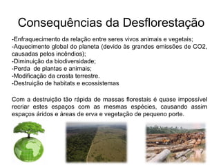 Consequências da Desflorestação
-Enfraquecimento da relação entre seres vivos animais e vegetais;
-Aquecimento global do planeta (devido às grandes emissões de CO2,
causadas pelos incêndios);
-Diminuição da biodiversidade;
-Perda de plantas e animais;
-Modificação da crosta terrestre.
-Destruição de habitats e ecossistemas
Com a destruição tão rápida de massas florestais é quase impossível
recriar estes espaços com as mesmas espécies, causando assim
espaços áridos e áreas de erva e vegetação de pequeno porte.
 