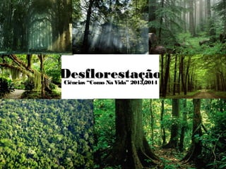 DesflorestaçãoDesflorestaçãoCiências “Como Na Vida” 2013/2014Ciências “Como Na Vida” 2013/2014
 