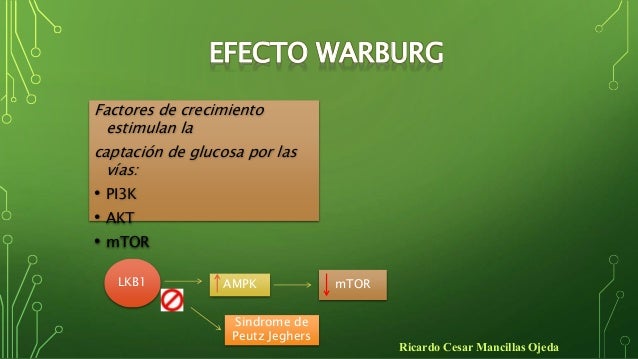 EFECTO DE WARBURG EBOOK EFECTO DE WARBURG EBOOK