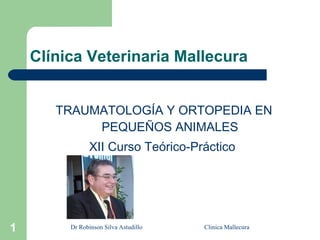 Clínica Veterinaria Mallecura ,[object Object],[object Object],Dr Robinson Silva Astudillo  Clinica Mallecura 
