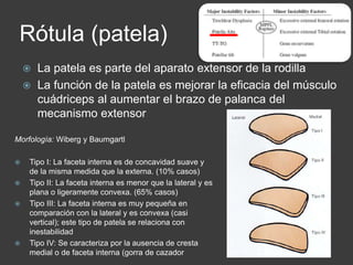 Rótula (patela) 
 La patela es parte del aparato extensor de la rodilla 
 La función de la patela es mejorar la eficacia del músculo 
cuádriceps al aumentar el brazo de palanca del 
mecanismo extensor 
Morfología: Wiberg y Baumgartl 
 Tipo I: La faceta interna es de concavidad suave y 
de la misma medida que la externa. (10% casos) 
 Tipo II: La faceta interna es menor que la lateral y es 
plana o ligeramente convexa. (65% casos) 
 Tipo III: La faceta interna es muy pequeña en 
comparación con la lateral y es convexa (casi 
vertical); este tipo de patela se relaciona con 
inestabilidad 
 Tipo IV: Se caracteriza por la ausencia de cresta 
medial o de faceta interna (gorra de cazador 
 
