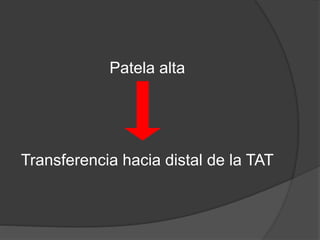 Patela alta 
Transferencia hacia distal de la TAT 
 