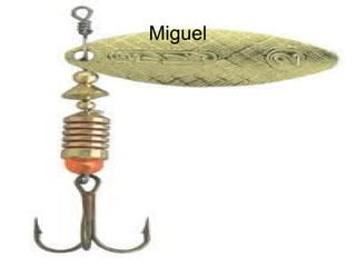 Miguel
 