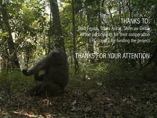 `THANKS TO:
Dadi Feyisa, Tolani Asirat, Shiferaw Diriba
All the participants for their cooperation
ERC-council for funding the project
THANKS FOR YOUR ATTENTION
 