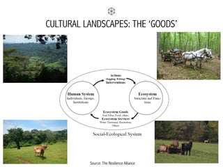 CULTURAL LANDSCAPES: THE ‘GOODS’
Source: The Resilience Alliance
 