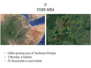 20KMSOURCE: GOOGLE MAPS
• Coffee-growing area of Southwest Ethiopia
• 3 Woredas, 6 kebeles
• 25 Households in each kebele
STUDY AREA
 