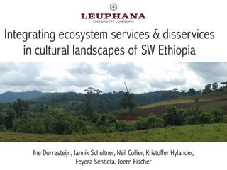 Integrating ecosystem services & disservices
in cultural landscapes of SW Ethiopia
Ine Dorresteijn, Jannik Schultner, Neil Collier, Kristoffer Hylander, 
Feyera Senbeta, Joern Fischer
 