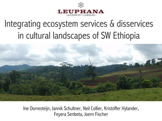 Integrating ecosystem services & disservices
in cultural landscapes of SW Ethiopia
Ine Dorresteijn, Jannik Schultner, Neil Collier, Kristoffer Hylander,
Feyera Senbeta, Joern Fischer
 