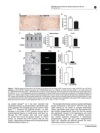 IDN5706 prevents memory and synaptic impairment in AD mice
                                                                                        NC Inestrosa et al
                                                                                                                                                                                   3




Figure 1 IDN5706 reduces the total amount of Ab, the levels of Ab oligomers and the number of PHF-1-positive neurons in brains of APP-PS1 mice. (a) Total Ab
aggregates in control APP-PS1 trangenics (Tg control) and in IDN5706-treated brains (Tg þ IDN5706). Tg control mice were injected i.p. with vehicle solution and
Tg þ IDN5706 were injected with 4 mg kgÀ1 IDN5706 three times a week per 10 weeks. (b) Average area fraction positive for Ab. Bars represent the average plaque area for
the treatment±s.e. (n ¼ 4). (c) Representative slot blot from hippocampal and cortical fractions using 6 mg protein per slot spotted into a nitrocellulose membrane and
expose to A11 antibody. Graphs represent normalized densitometric analysis proﬁle of the slot intensity for each treatment. (d) Images show representative detection of
PHF-1-positive cells (left panels) near amyloid plaques detected with ThS (right panels). Positive neurons are indicated by black arrows and the amyloid plaques by a white
arrow. Bottom panels show that no PHF-1-positive cells are detected in other regions. (e, f) The graphs show the quantiﬁcation of the number of PHF-1-positive neurons per
plaque (e) and per area in 0.03 mm2 (f). Bars represent the mean±s.e (nX3). *Po0.05; **Po0.01; ***Po0.001.


ing amyloid plaques20 as it has been described that                                       The astroglial inﬂammatory reaction is another pathological
cytoskeletal changes, tau phosphorylation, glial ﬁbrillar acidic                        change characteristic of AD brains.25 APP-PS1 mice show
protein activation and synapses loss occurs mainly in these                             higher staining for the marker of astroglial inﬂammatory
areas.2,20,24 Treatment with IDN5706 induced Ban 80%                                    reaction glial ﬁbrillar acidic protein than age-matched wild-
decrease in the number of PHF-1-positive neurons next to                                type animals (Supplementary Figure 2A), and this staining
amyloid deposits (Figures 1d, middle panels, and Figure 1e).                            was signiﬁcantly reduced in the hippocampus and cortex
Although few PHF-1-positive cells were found outside                                    of IDN5706-treated APP-PS1 mice. IDN5706 treatment
the circular area around the plaques (Figure 1d, bottom                                 also reduced perikaryon enlargement in hippocampus
panels), we analyzed total PHF-1-positive cells per area                                (Supplementary Figure 2B) and cortex (Supplementary
(cortex þ hippocampus) and determined a strong decrease by                              Figure 2C), indicating that IDN5706 prevents the neuro-
IDN5706 treatment (Figure 1f).                                                          inﬂammatory reaction characteristic of AD.

                                                                                                                                                             Translational Psychiatry
 
