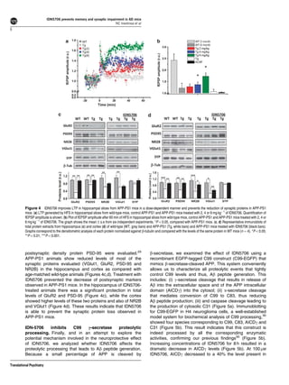 IDN5706 prevents memory and synaptic impairment in AD mice
                                                                     NC Inestrosa et al
6




          Figure 4 IDN5706 improves LTP in hippocampal slices from APP-PS1 mice in a dose-dependent manner and prevents the reduction of synaptic proteins in APP-PS1
          mice. (a) LTP generated by HFS in hippocampal slices from wild-type mice, control APP-PS1 and APP-PS1 mice treated with 2, 4 or 6 mg kgÀ1 of IDN5706. Quantiﬁcation of
          fEPSP amplitude is shown. (b) Plot of fEPSP amplitude after 60 min of HFS in hippocampal slices from wild-type mice, control APP-PS1 and APP-PS1 mice treated with 2, 4 or
          6 mg kgÀ1 of IDN5706. The graph shows the mean±s.e from six independent experiments. *Po0.05, compared with APP-PS1 mice. (c, d) Representative immunoblots of
          total protein extracts from hippocampus (c) and cortex (d) of wild-type (WT, gray bars) and APP-PS1 (Tg, white bars) and APP-PS1 mice treated with IDN5706 (black bars).
          Graphs correspond to the densitometric analysis of each protein normalized against b-tubulin and compared with the levels of the same protein in WT mice (n ¼ 4). *Po0.05;
          **Po0.01; ***Po0.001.



          postsynaptic density protein PSD-95 were evaluated.29                                   b-secretase, we examined the effect of IDN5706 using a
          APP-PS1 animals show reduced levels of most of the                                      recombinant EGFP-tagged C99 construct (C99-EGFP) that
          synaptic proteins evaluated (VGlut1, GluR2, PSD-95 and                                  mimics b-secretase-cleaved APP. This system conveniently
          NR2B) in the hippocampus and cortex as compared with                                    allows us to characterize all proteolytic events that tightly
          age-matched wild-type animals (Figures 4c,d). Treatment with                            control C99 levels and thus, Ab peptide generation. This
          IDN5706 prevented the decrease of postsynaptic markers                                  includes: (i) g-secretase cleavage that results in release of
          observed in APP-PS1 mice. In the hippocampus of IDN5706-                                Ab into the extracellular space and of the APP intracellular
          treated animals there was a signiﬁcant protection in total                              domain (AICDg) into the cytosol; (ii) a-secretase cleavage
          levels of GluR2 and PSD-95 (Figure 4c), while the cortex                                that mediates conversion of C99 to C83, thus reducing
          showed higher levels of these two proteins and also of NR2B                             Ab peptide production; (iii) and caspase cleavage leading to
          and VGlut1 (Figure 4d). These results indicate that IDN5706                             the production of cytosolic C31 (Figure 5a). Immunoblotting
          is able to prevent the synaptic protein loss observed in                                for C99-EGFP in H4 neuroglioma cells, a well-established
          APP-PS1 mice.                                                                           model system for biochemical analysis of C99 processing,30
                                                                                                  showed four species corresponding to C99, C83, AICDg and
          IDN-5706      inhibits   C99     c-secretase    proteolytic                             C31 (Figure 5b). This result indicates that this construct is
          processing. Finally, and in an attempt to explore the                                   indeed processed by all the corresponding enzymatic
          potential mechanism involved in the neuroprotective effect                              activities, conﬁrming our previous ﬁndings30 (Figure 5b).
          of IDN5706, we analyzed whether IDN5706 affects the                                     Increasing concentrations of IDN5706 for 8 h resulted in a
          proteolytic processing that leads to Ab peptide generation.                             dramatic decrease in AICDg levels (Figure 5b). At 100 mM
          Because a small percentage of APP is cleaved by                                         IDN5706, AICDg decreased to a 40% the level present in

Translational Psychiatry
 