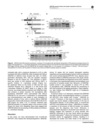 IDN5706 prevents memory and synaptic impairment in AD mice
                                                                                         NC Inestrosa et al
                                                                                                                                                                                    7




Figure 5 IDN5706 inhibits C99 proteolytic processing by g-secretase in H4 neuroglioma cells. (a) Schematic representation of C99 indicating its topological domains; the
position of the Ab peptide; the a, g, and caspase cleavage sites; and the fragments produced. (b, c) Anti-GFP immunoblot analysis from H4 neuroglioma cells transfected with
EGFP-tagged C99 after treatment with only IDN5706 with the variations indicated below, or in the presence of a combination of 150 mg mlÀ1 CHX and 40 mg mlÀ1
chloramphenicol for 0–60 min. (d) The positions of molecular mass markers and different proteolytic species are indicated.


untreated cells, with a maximum decrease to a 6% in cells                                during 10 weeks did not present decreased cognitive
incubated with 500 mM IDN5706. Cells incubated with 500 mM                               capacities and neuropathological markers of AD as compared
IDN5706 at different times showed that after 2 h AICDg                                   with control vehicle-injected APP-PS1 mice. Speciﬁc neuro-
generation decreased 40%, with the greatest reduction                                    protective effects of IDN5706 observed in this study include:
between 6 and 8 h (Figure 5c). This reduction in AICDg                                   reduction in total ﬁbrillar and oligomeric forms of Ab, reduction
level was similar to that obtained with 250 nM DAPT, a                                   in the levels of tau hyperphosphorylation and astrogliosis, and
speciﬁc inhibitor of g-secretase activity (Figure 5c).                                   prevention of synaptic protein loss. Moreover, in IDN5706-
No signiﬁcant effect on the levels of C83 and C31 was                                    treated animal it was possible to induce LTP by HFS.
observed (Figures 5b,c). Because it is well known that                                   In neuroglioma cells, IDN5706 reduced the processing of
g-secretase inhibition by DAPT leads to a delay in C99                                   APP that conducts to Ab peptide generation. Taken together,
turnover, we studied whether treatment with IDN5706 might                                our data indicate that IDN5706 might be of therapeutic
also produce a similar outcome. H4 neuroglioma cells                                     relevance in AD.
expressing C99-EGFP were preincubated with 500 mM                                           A previous study in our laboratory indicated that IDN5706
IDN5706 for 8 h and then a combination of cycloheximide                                  was able to reduce neuropathological markers in 12-month-
and chloroamphenicol was added to stop translation at                                    old APP-PS1 mice treated with 2 mg kgÀ1 IDN5706 for
different periods of time, with or without 500 mM IDN5706                                1 month.16 However, in that study no reduction in total Ab
(Figure 5d). Control cells showed a short half-life of 20 min for                        burden was found, despite a slight reduction in the size of
C99 (Figure 5d, lanes 1–4). In contrast, treatment with                                  ThS-positive plaques. In the present work, in 5-month-old
IDN5706 resulted in a dramatic delay in the turnover of C99                              APP-PS1 mice treated with 4 mg kgÀ1 IDN5706 for 10 weeks,
(Figure 5d, lanes 5–8). Altogether these data suggest that                               a reduction in the amount of total Ab burden, Ab amyloid
IDN5706 affects the processing of C99 probably by inhibition                             plaques and Ab oligomers was found. Moreover, a
of g-secretase cleavage.                                                                 dose-dependent decrease in Ab-burden was observed. Our
                                                                                         ﬁndings suggest that treatment of young animals with
                                                                                         IDN5706, previously to the time frame where the plaque
Discussion
                                                                                         formation takes place,31 affects the mechanism of Ab peptide
In this study, we have demonstrated that 5-month-old                                     formation and/or its aggregation kinetics, resulting in a
APP-PS1 mice treated with tetrahydrohyperforin, IDN5706,                                 decreased Ab burden and lower levels of Ab oligomeric

                                                                                                                                                              Translational Psychiatry
 