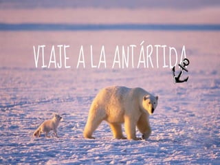 Antártida_Inesybeatriz