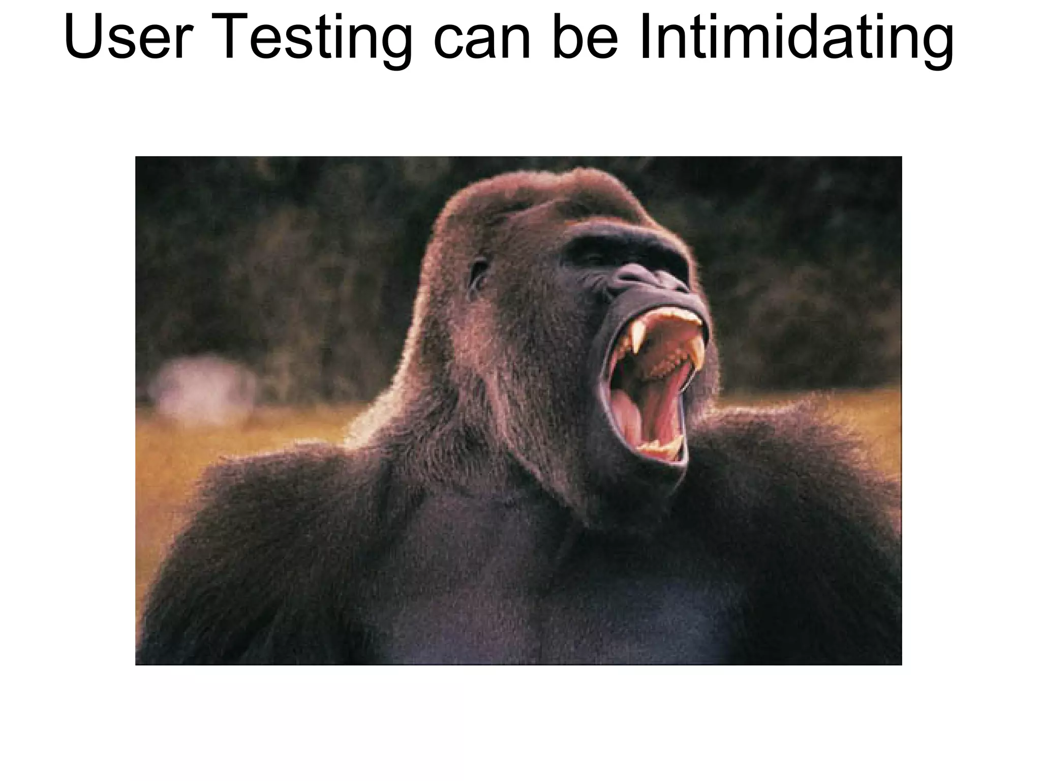 User Testing can be Intimidating
 