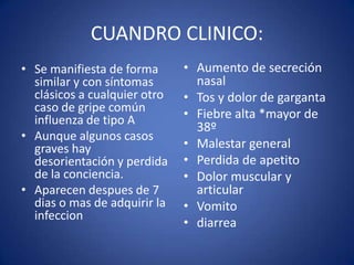 CUANDRO CLINICO:
• Se manifiesta de forma      • Aumento de secreción
  similar y con síntomas        nasal
  clásicos a cualquier otro   • Tos y dolor de garganta
  caso de gripe común
  influenza de tipo A         • Fiebre alta *mayor de
                                38º
• Aunque algunos casos
  graves hay                  • Malestar general
  desorientación y perdida    • Perdida de apetito
  de la conciencia.           • Dolor muscular y
• Aparecen despues de 7         articular
  dias o mas de adquirir la   • Vomito
  infeccion
                              • diarrea
 