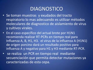 DIAGNOSTICO
• Se toman muestras y exudados del tracto
  respiratorio lo mas adecuando es utilizar métodos
  moleculares de diagnostico de aislamiento de virus
  y cultivos virales.
• En el caso específico del actual brote por H1N1
  recomienda realizar RT-PCRs en tiempo real para
  Influenza A, B, H1, H3. el virus de la influenza A (H1N1)
  de origen porcino dará un resultado positivo para
  influenza A y negativo para H1 y H3 mediante RT-PCR.
• se realiza un PCR en tiempo real mediante
  secuenciación que permita detectar mutaciones ya
  caracterizadas de esta cepa.
 