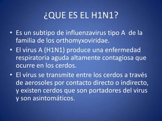 ¿QUE ES EL H1N1?
• Es un subtipo de influenzavirus tipo A de la
  familia de los orthomyxoviridae.
• El virus A (H1N1) produce una enfermedad
  respiratoria aguda altamente contagiosa que
  ocurre en los cerdos.
• El virus se transmite entre los cerdos a través
  de aerosoles por contacto directo o indirecto,
  y existen cerdos que son portadores del virus
  y son asintomáticos.
 