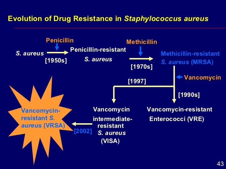 The evolution of Staphylococcus aureus
