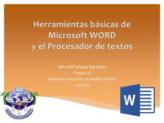 Mitchell Salazar Barradas 
Prepa 1.A 
Maestra: Azucena Cervantes Ponce 
22/11/14  
