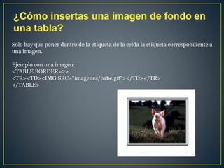 Solo hay que poner dentro de la etiqueta de la celda la etiqueta correspondiente a
una imagen.
Ejemplo con una imagen:
<TABLE BORDER=2>
<TR><TD><IMG SRC="imagenes/babe.gif"></TD></TR>
</TABLE>
 