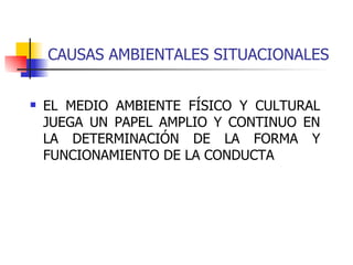 CAUSAS AMBIENTALES SITUACIONALES ,[object Object]