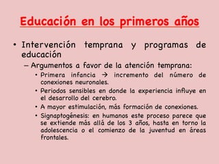 Educación en los primeros años

•  Intervención temprana y programas de
educación

–  Argumentos a favor de la atención temprana:

•  Primera infancia à incremento del número de
conexiones neuronales. 

•  Periodos sensibles en donde la experiencia inﬂuye en
el desarrollo del cerebro. 

•  A mayor estimulación, más formación de conexiones.

•  Signaptogénesis: en humanos este proceso parece que
se extiende más allá de los 3 años, hasta en torno la
adolescencia o el comienzo de la juventud en áreas
frontales. 

 