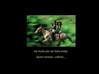 Há muito por ser feito ainda.
Quem semear, colherá...
 