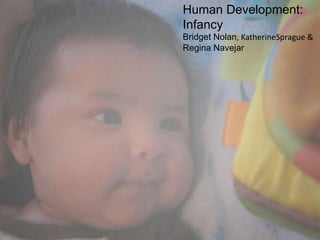 Human Development: Infancy Bridget Nolan, KatherineSprague & Regina Navejar 