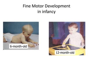 Infancy | PPTX