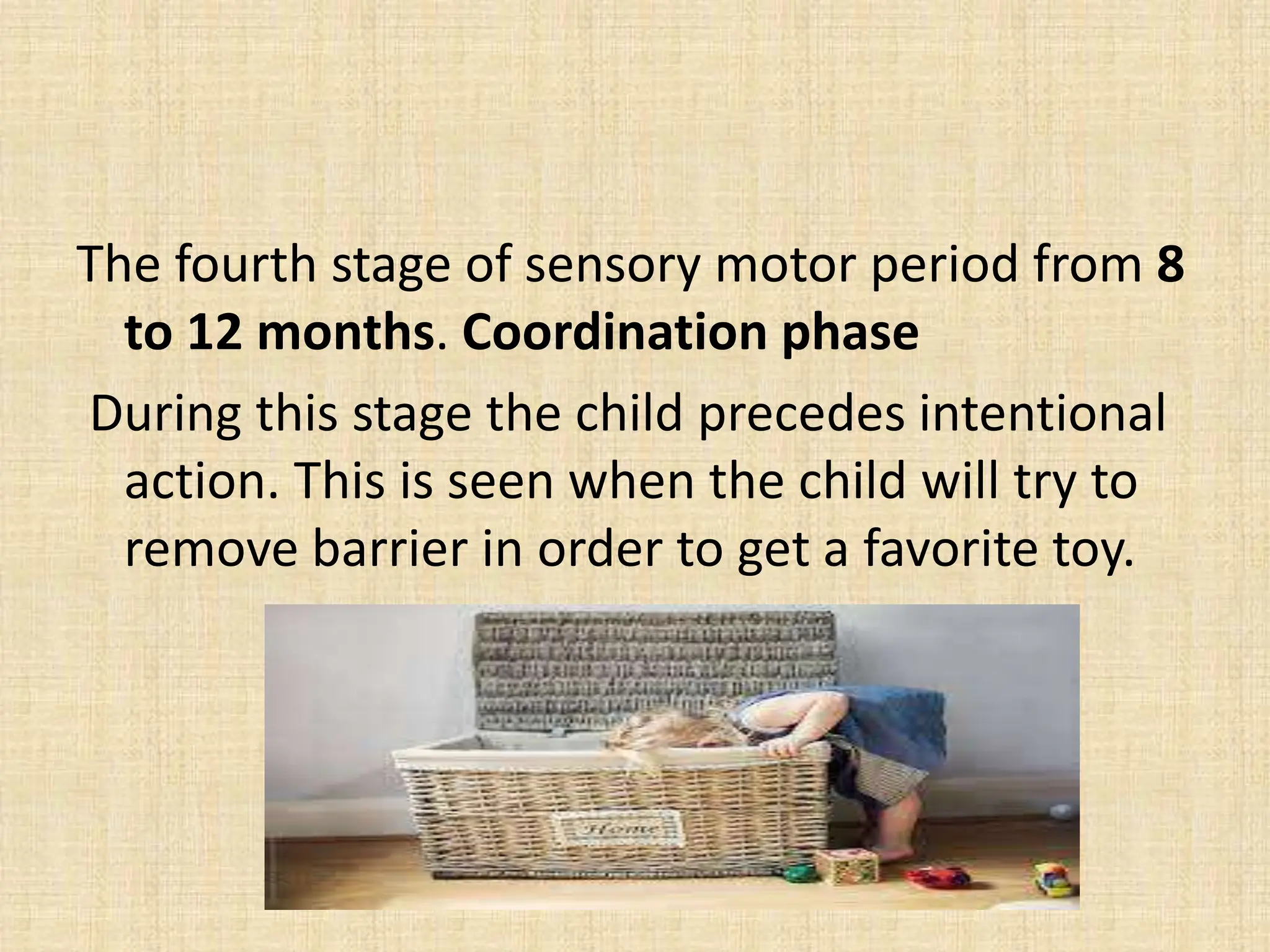 The fourth stage of sensory motor period from 8
to 12 months. Coordination phase
During this stage the child precedes intentional
action. This is seen when the child will try to
remove barrier in order to get a favorite toy.
 