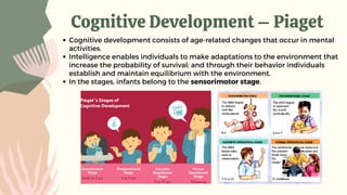 Cognitive Development – Piaget
Cognitive development consists of age-related changes that occur in mental
activities.
Intelligence enables individuals to make adaptations to the environment that
increase the probability of survival; and through their behavior individuals
establish and maintain equilibrium with the environment.
In the stages, infants belong to the sensorimotor stage.
 