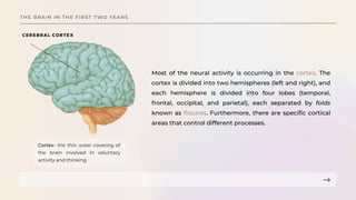 Lesson presentation on Infancy and Toddlerhood.pdf