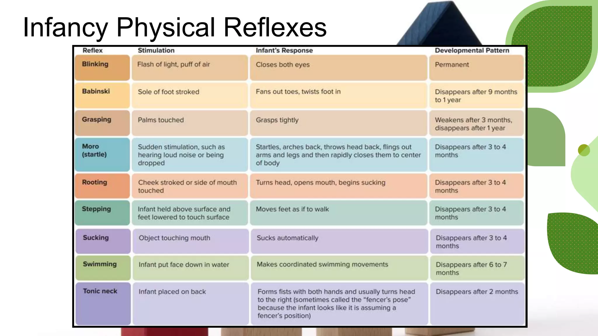 Infancy Physical Reflexes
 