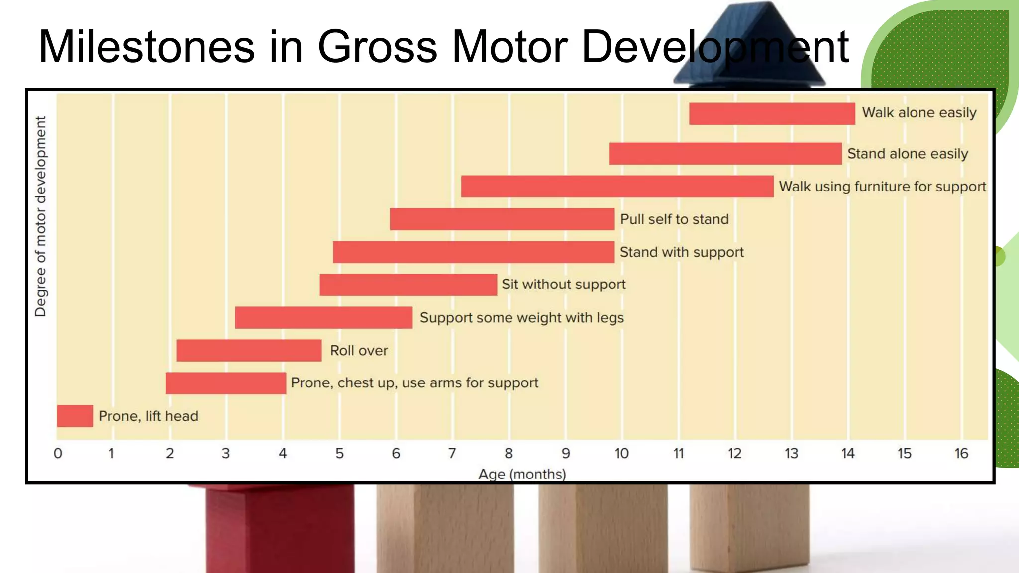 Milestones in Gross Motor Development
 