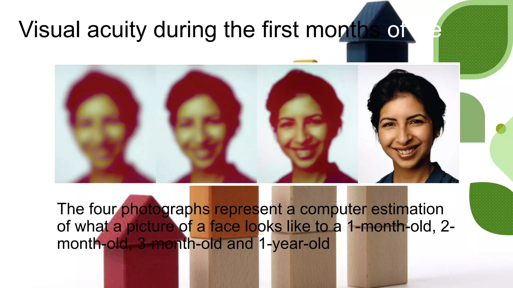 Visual acuity during the first months of life
The four photographs represent a computer estimation
of what a picture of a face looks like to a 1-month-old, 2-
month-old, 3-month-old and 1-year-old
 