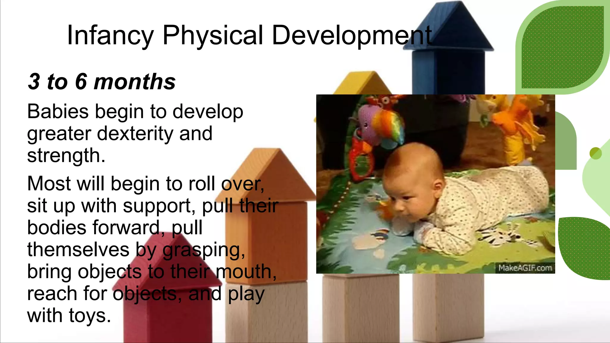 Infancy Physical Development
3 to 6 months
Babies begin to develop
greater dexterity and
strength.
Most will begin to roll over,
sit up with support, pull their
bodies forward, pull
themselves by grasping,
bring objects to their mouth,
reach for objects, and play
with toys.
 
