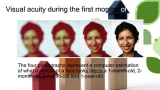 Visual acuity during the first months of life
The four photographs represent a computer estimation
of what a picture of a face looks like to a 1-month-old, 2-
month-old, 3-month-old and 1-year-old
 