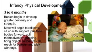 Infancy Physical Development
3 to 6 months
Babies begin to develop
greater dexterity and
strength.
Most will begin to roll over,
sit up with support, pull their
bodies forward, pull
themselves by grasping,
bring objects to their mouth,
reach for objects, and play
with toys.
 